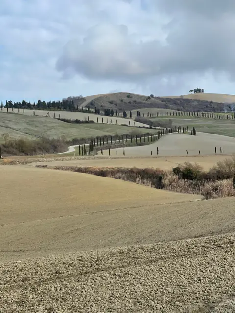 Il disegno dei campi