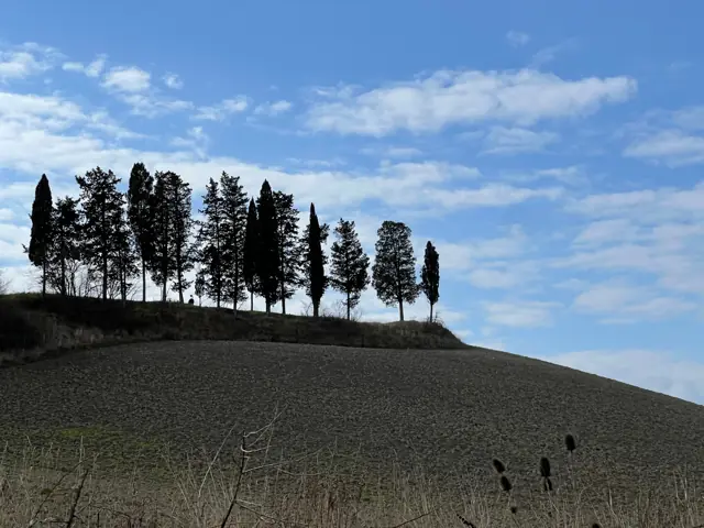 Cipressi e cielo