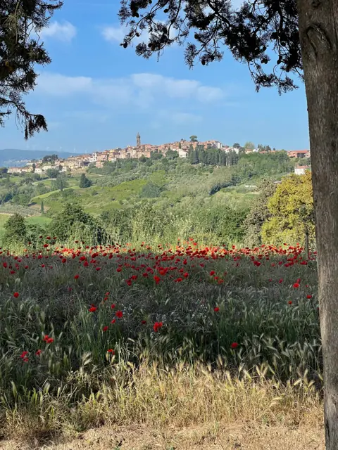 Papaveri e colline