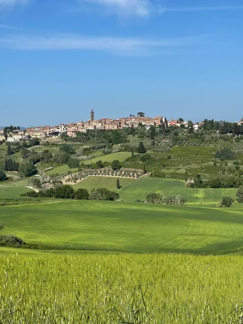 Verde, fino all’orizzonte
